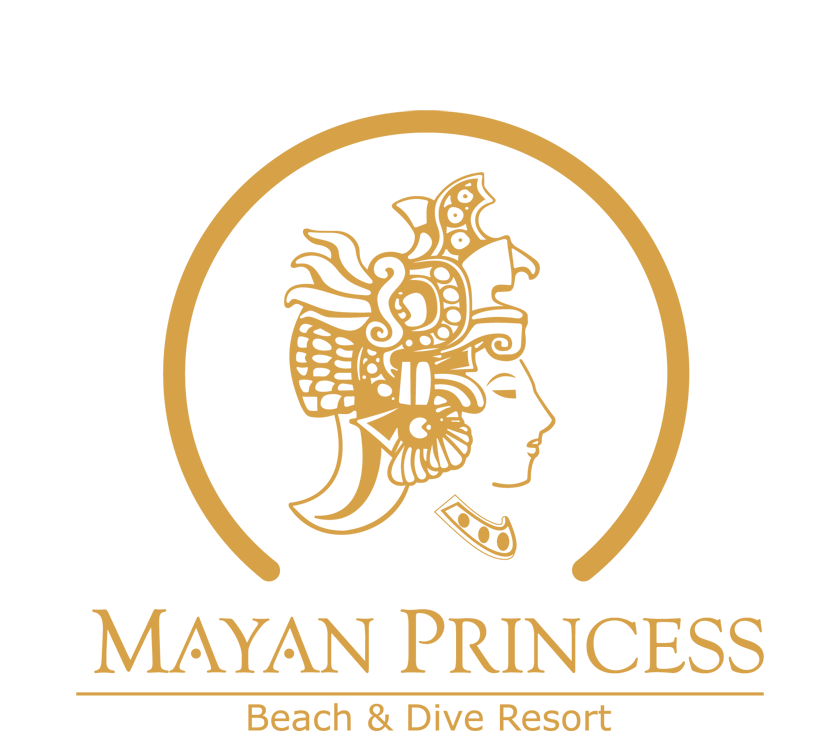 myan-princess-resort-logo-video-sous-marine