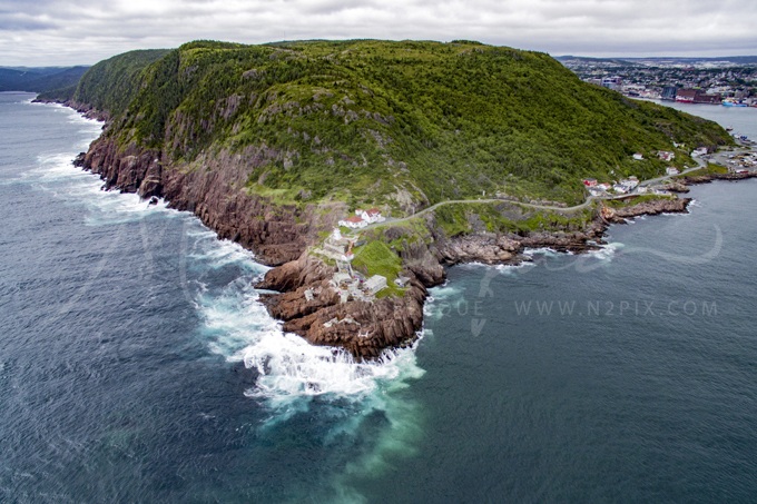 newfoundland