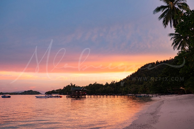 biodiversity-beach-sunset