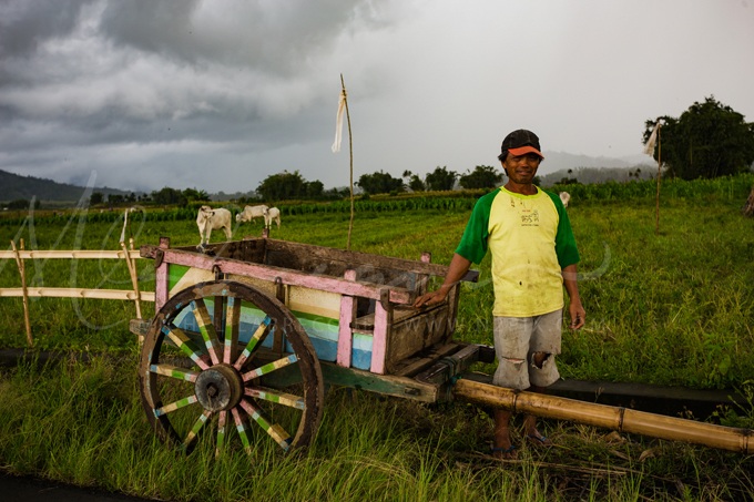 wheel-cart